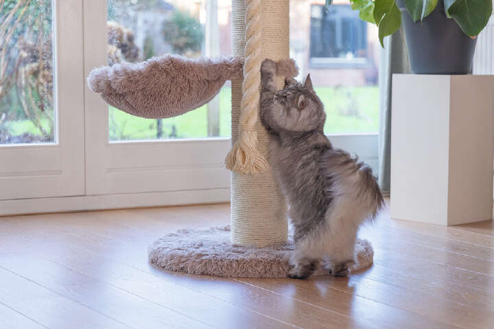 beeztees Kratzbaum Ramiro